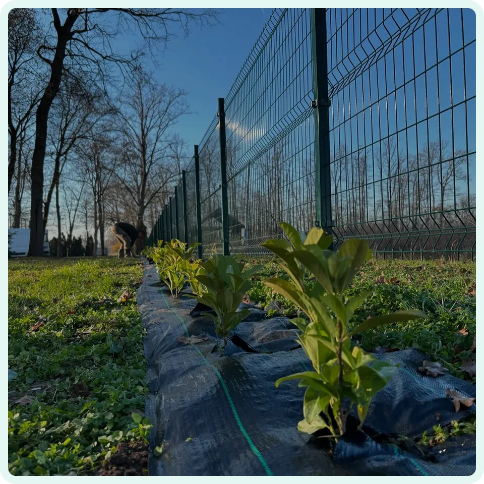 About Us Image
