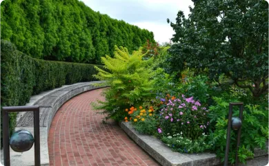 Gallery Image 9
